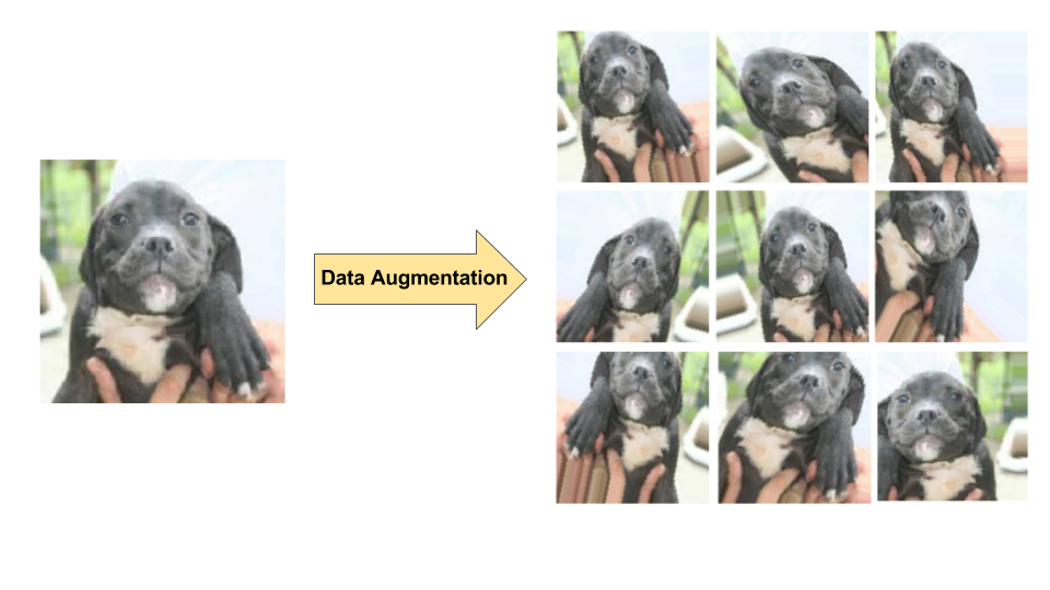 Data augmentation